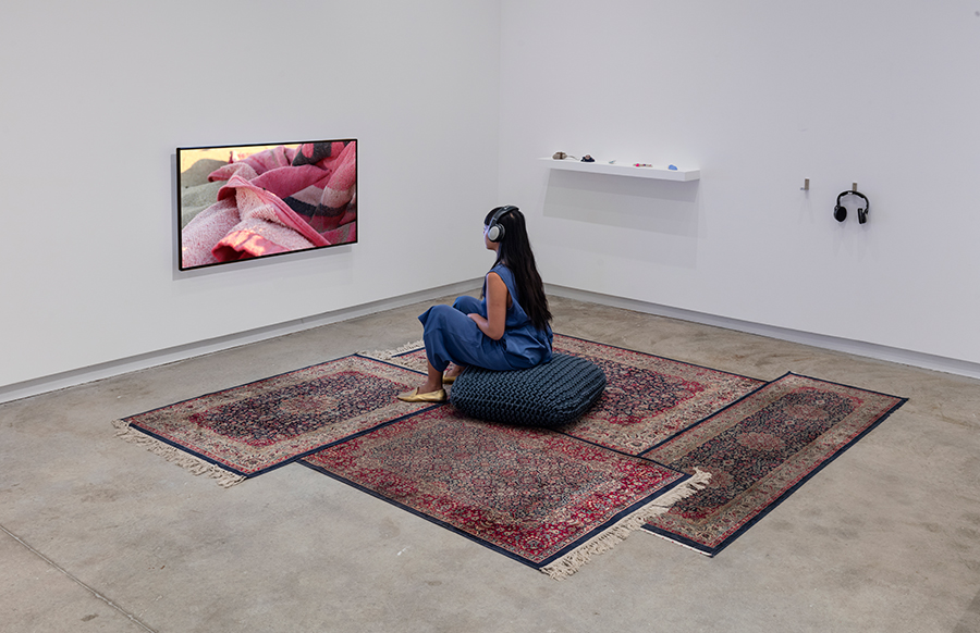 Deborah Ligorio, A Somatheory Encounter, 2017, Installation view at Blackwood Gallery
University of Toronto Mississauga
